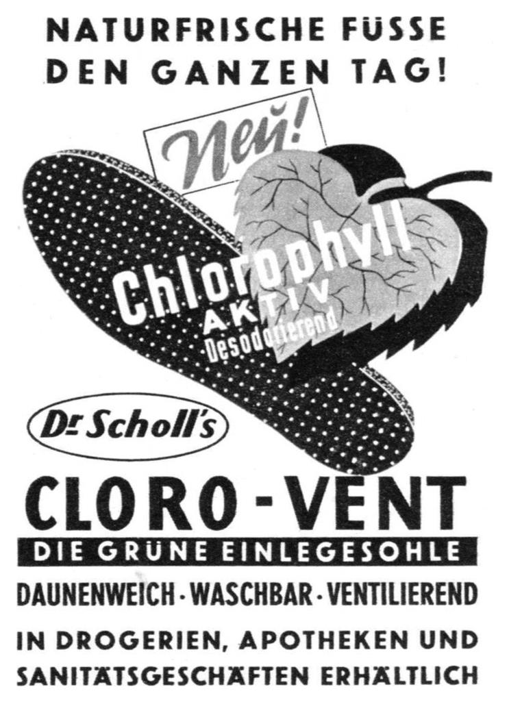 Sr. Scholl 1953 0.jpg